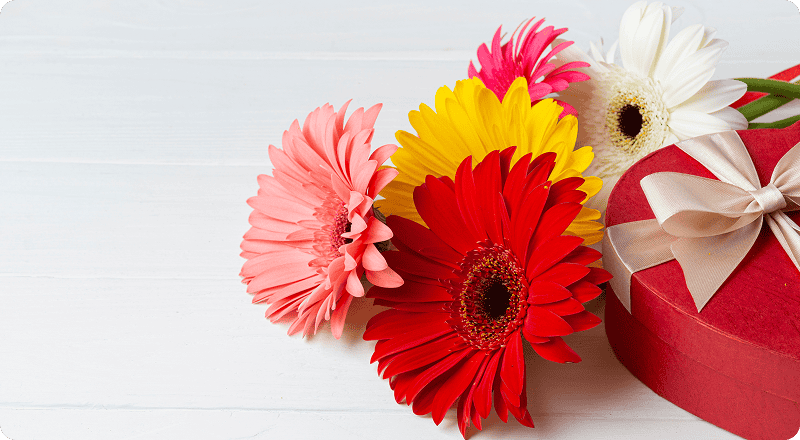 Makna Warna Bunga untuk Hadiah Spesial yang Berkesan