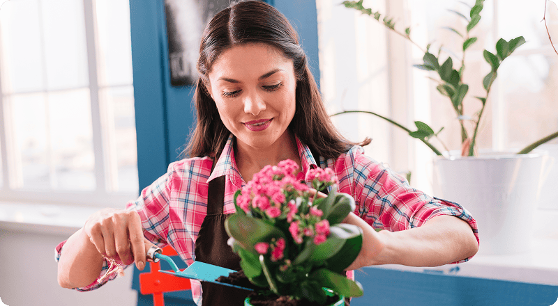 Cara Merawat Bunga Potong agar Tetap Segar Lebih Lama